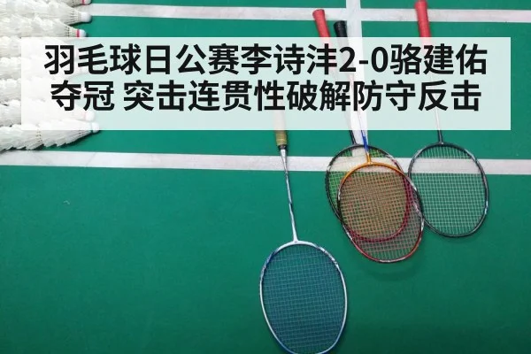 羽毛球日公赛李诗沣2-0骆建佑夺冠 突击连贯性破解防守反击